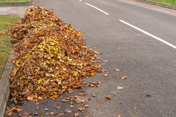  Pile of raked leaves on a street