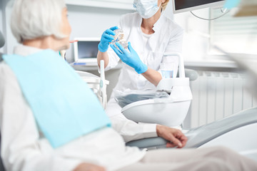 Obraz premium Dentist showing jaw model to the elderly patient