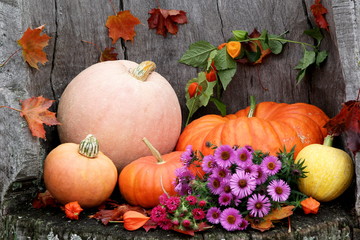 Halloween Autumn Pumpkin mix on a dark wooden background, still life
