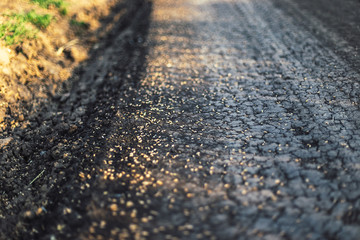 Wheat grains scattered on a dirt road