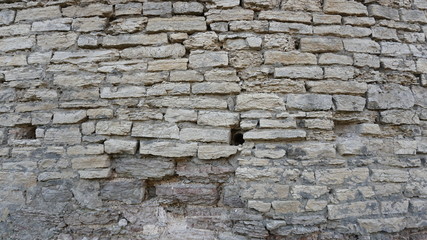 Background, rubble stone, fir, tree, ancient stones, ancient wall, granite stone