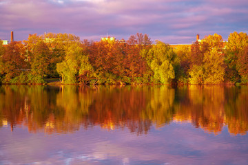 Autumn Reflection