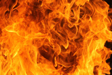 burning fire flame on the black background