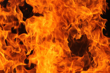 burning fire flame on the black background