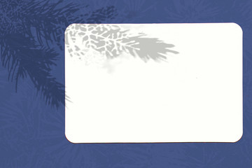 A piece of paper on a blue background. Layout with the imposition of plant shadows. Natural light casts a shadow from above. The scene of an exotic plant from the window.