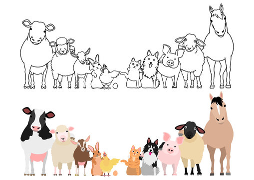 Farm Animals In A Row, Paws Around Shoulders Each Other