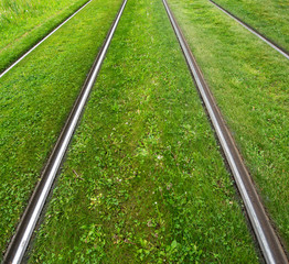 Railways in the grass