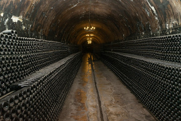 Bottles of red wine in the vault of winery