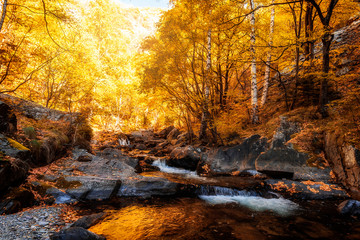 Autumn mountain colors of Old River ( Stara reka ) , located at Central Balkan national park in Bulgaria