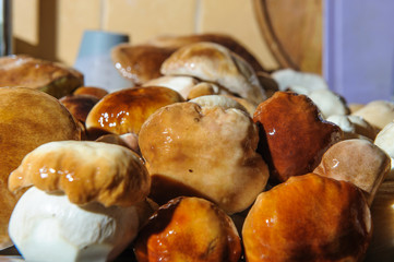 porcini mushrooms in the kitchen after washing4