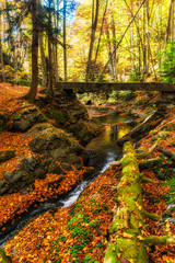 Attractive autumn scenery, waterfall at small river in forest under wooden bridge,