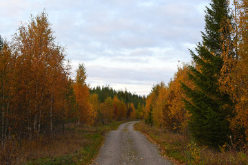 Fototapeta premium Fall roads