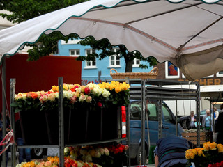 Rosen an einem Markstand in gelb, pink und weiss unter einem Sonnenschirm