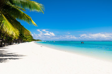 Tropical beach with ocean and blue sky