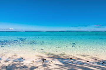 Tropical scenery - beautiful beach with transparent ocean and blue sky