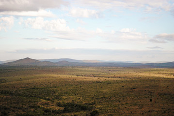 South African Landscape