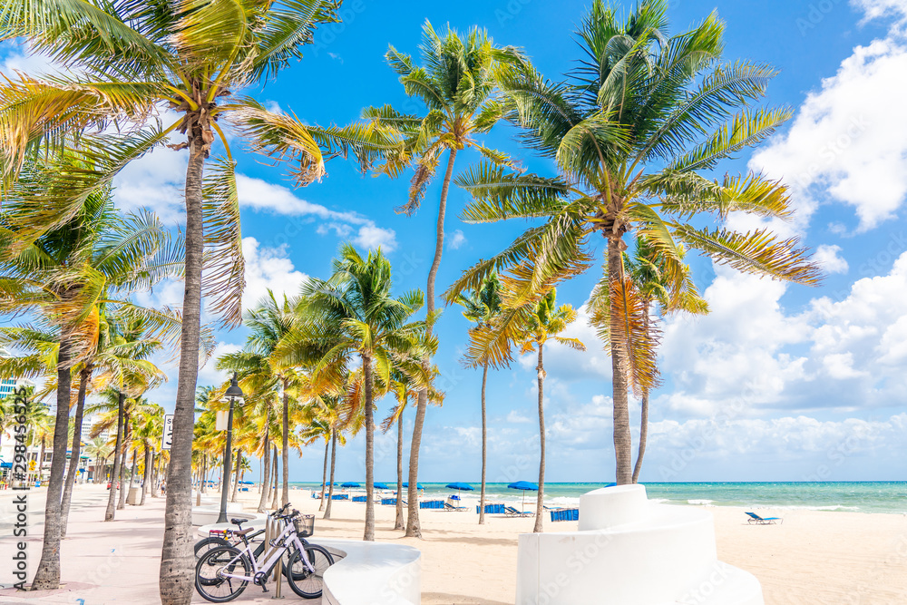 Wall mural Fort Lauderdale Beach promenade with palm trees