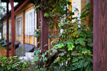 Wooden house decorated with flowers in Poland - obrazy, fototapety, plakaty