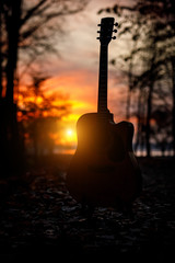 Acoustic guitar in the autumn forest.
