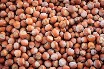 Stack of shelled hazelnuts background. Hazelnut textured pattern.
