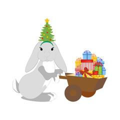 Rabbit in christmas costume