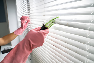 Person Cleaning Window Blinds - obrazy, fototapety, plakaty