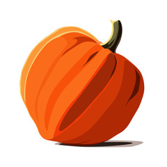 cucurbita realistic vector illustration isolated
