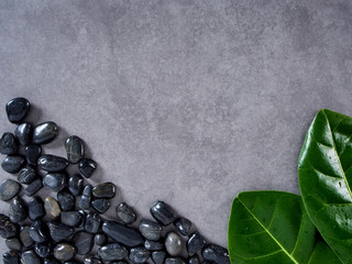 Pebbles black and leaves on gray marble background.
