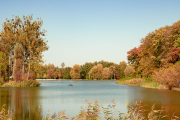 autumn landscape with lake and trees