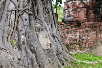 Fototapeta na wymiar Buddha head intertwined in a tree ruins of Wat Phra Mahathat, Ayutthaya Thailand. 