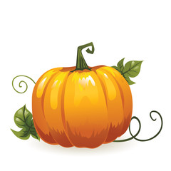 Pumpkin for the harvest festival. Cartoon style. Isolated illustration on a white background..