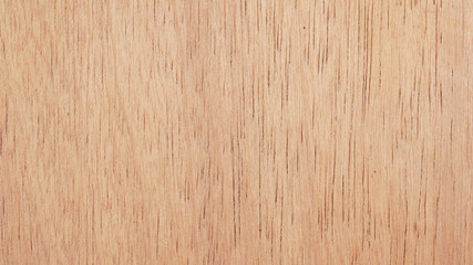 grunge wood plank Texture background for design