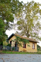 wooden house in the forest