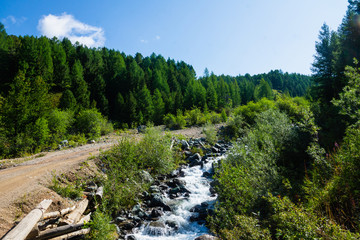 Mountain river in green valley. Wild nature landscape.