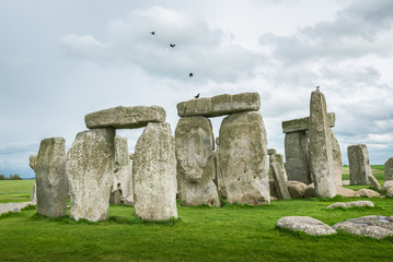 Birds on Sstonegenge