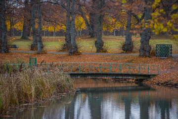 Autumn view at a park on the Drottningholm island in Stockholm with ponds and colour full trees