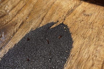 江戸時代からのゆり板で砂金採り