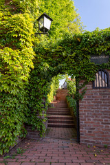 Stairway with plants and a wall - 298467142