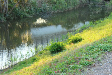 河川　工業地帯