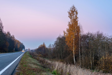 Suburban road goes into the distance at sunset