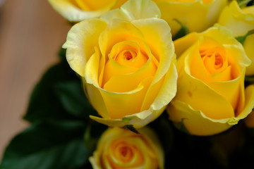 bouquet of yellow roses