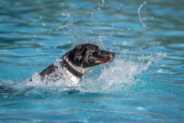 Splish splash, I was taking a bath