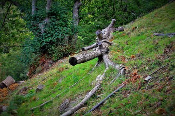 paseo por la naturaleza