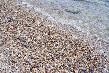 sand stone coral sea and water