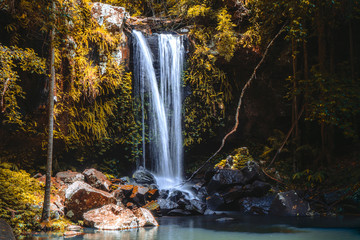 Scenic Curtis Falls in Tamborine National Park, Queensland, Australia. Autumn look.
