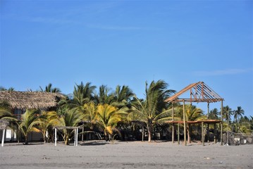 Construcciones de madera y palmeras al frente de la playa 