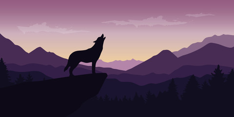 wolf at beautiful purple mountain wildlife nature landscape vector illustration EPS10