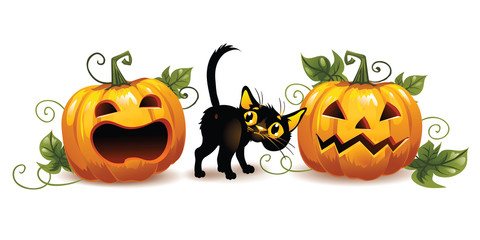 Afraid black cat and halloween pumpkins. Horizontal banner. Illustration on an isolated background.