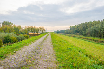 Fototapeta na wymiar Green dike along a canal in a rural area at fall 
