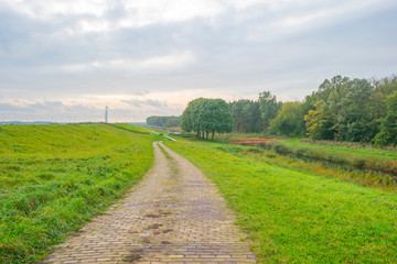 Fototapeta na wymiar Green dike along a canal in a rural area at fall 